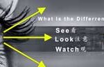 Different between see look watch