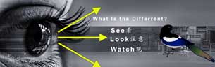 Different between see look watch